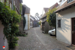 Michelstadt